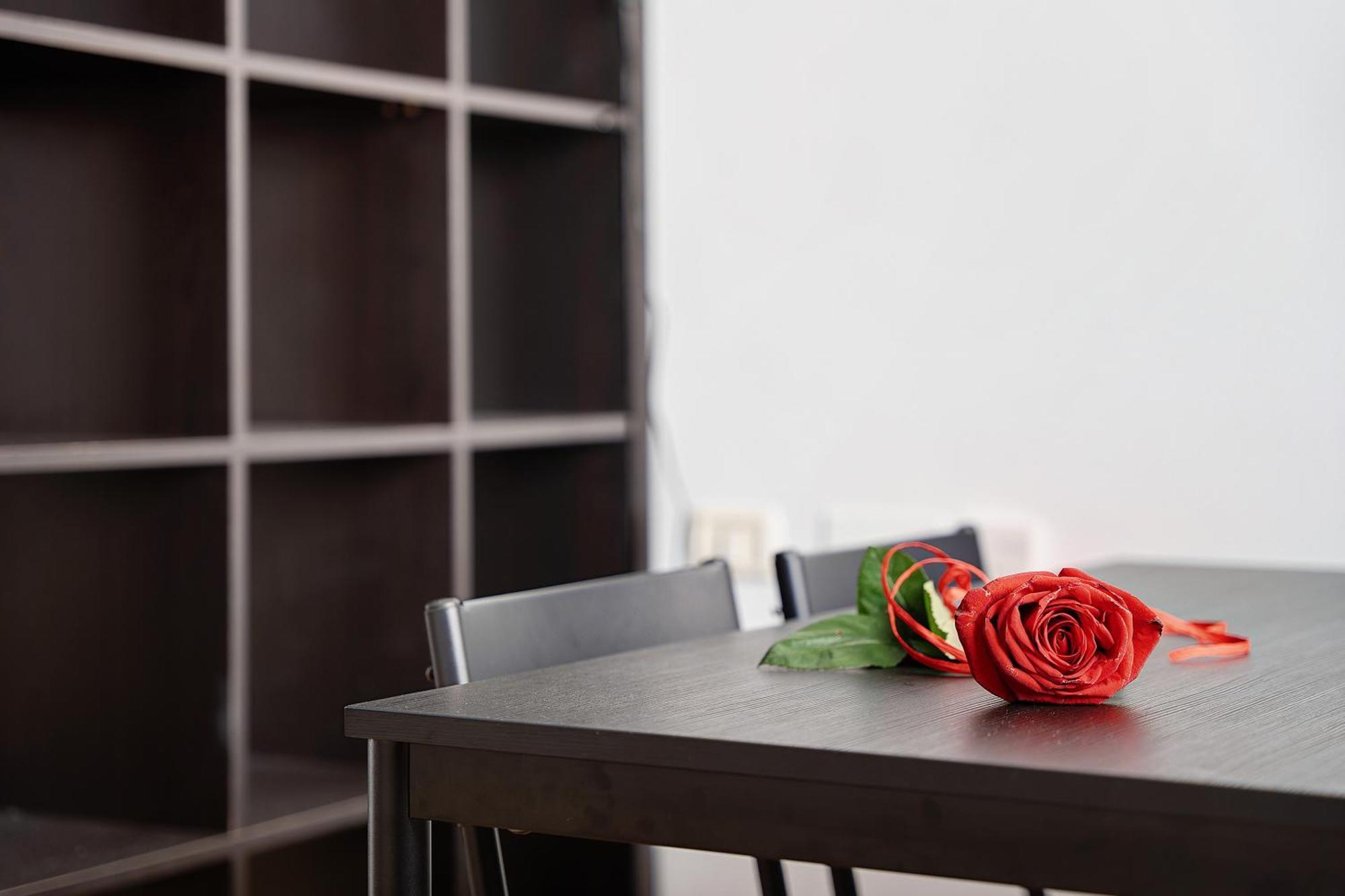 Apartment Noa